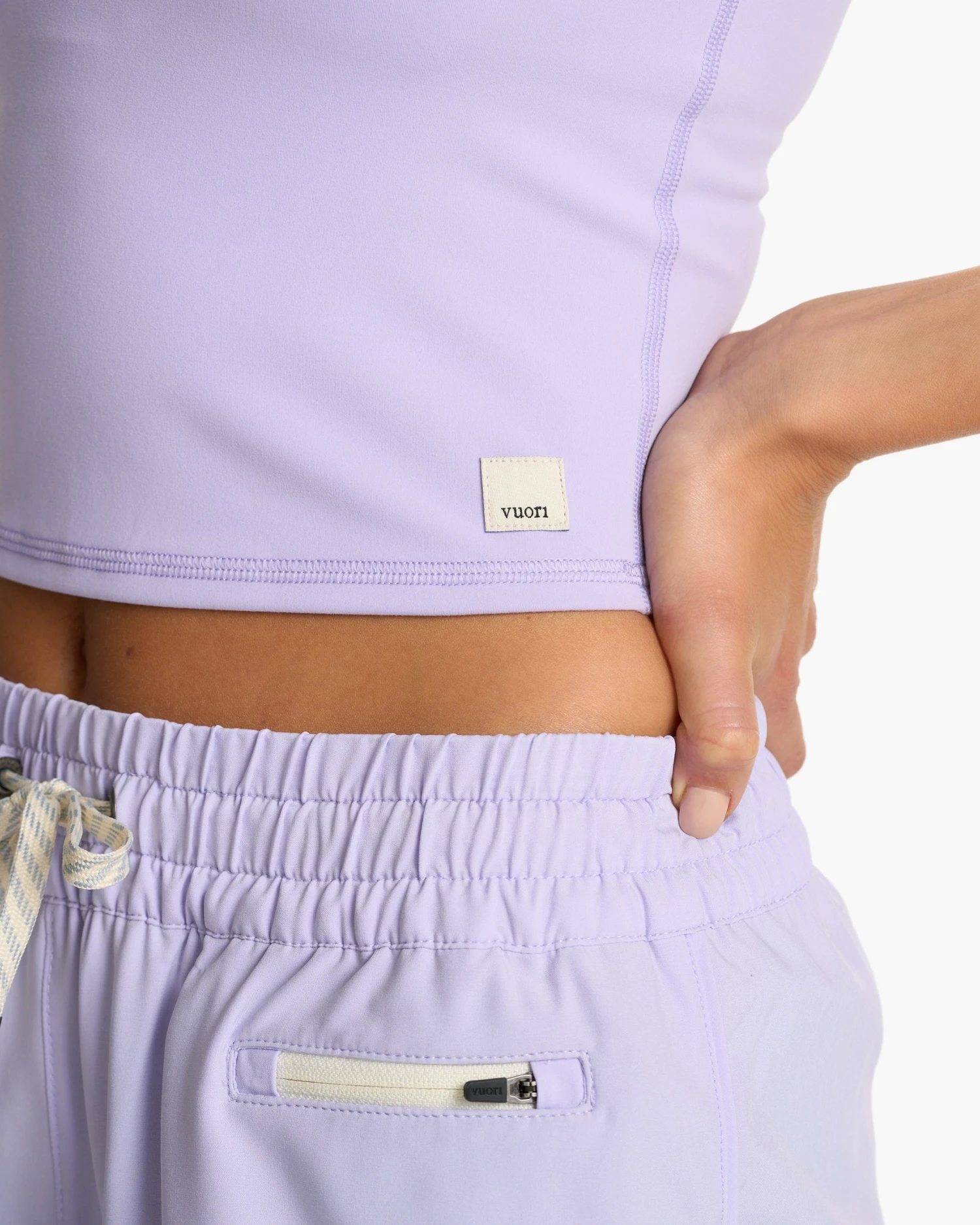 Daily Crop | Zinnia 4 Daily Crop | Zinnia - Image 4