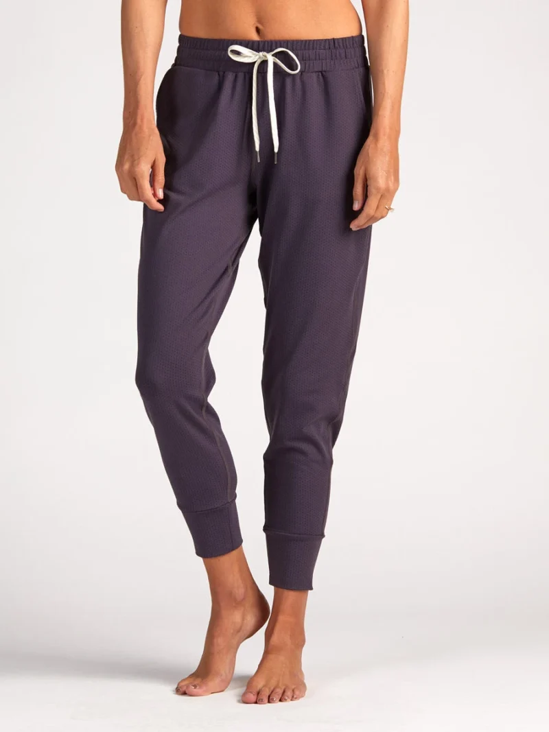 Performance Mesh Jogger | Eggplant